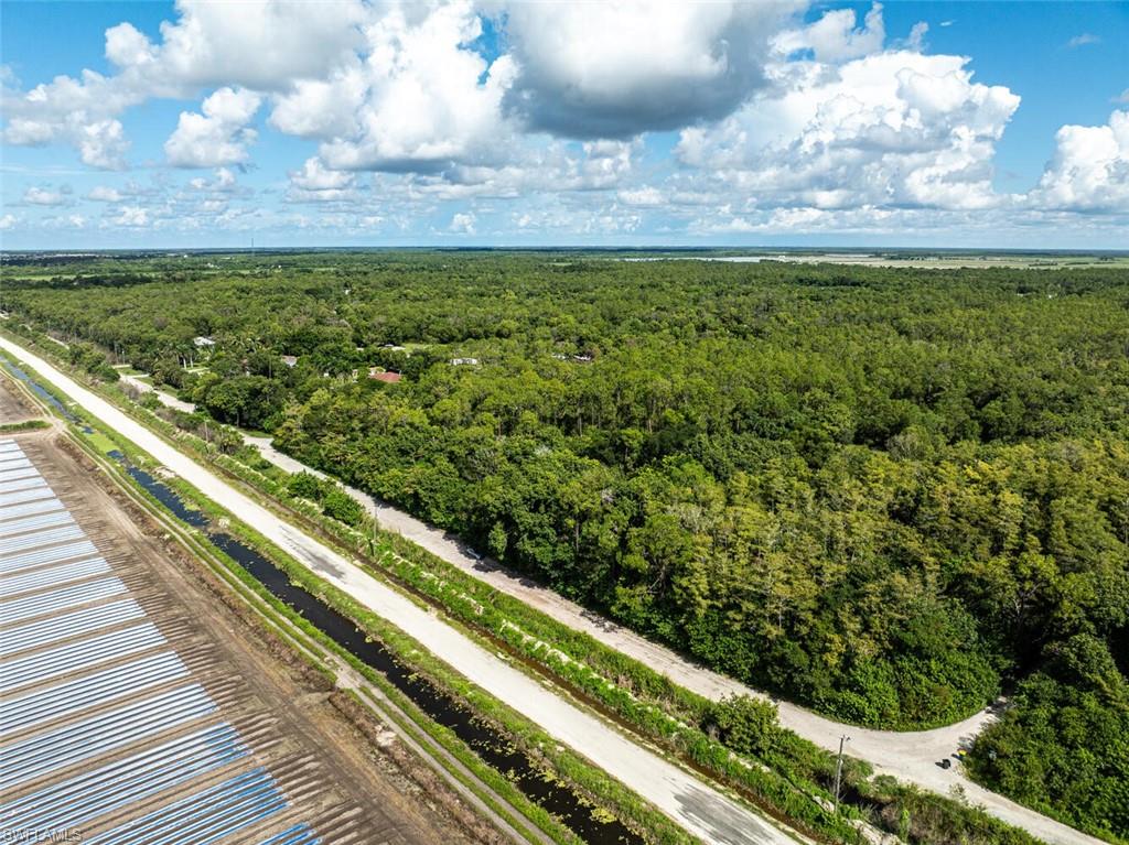 Bird's eye view of a heavily wooded area