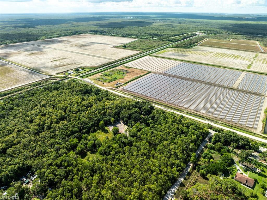 Aerial view of sparsely populated area featuring rows of crops