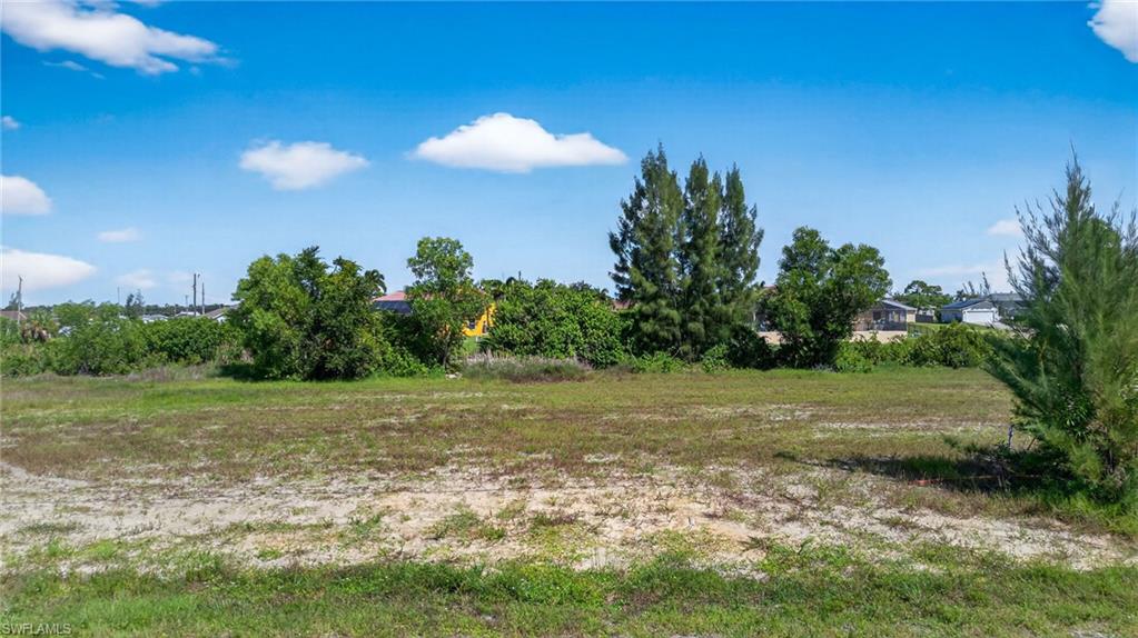 View of undeveloped land
