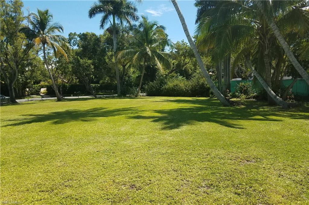 View of grassy yard