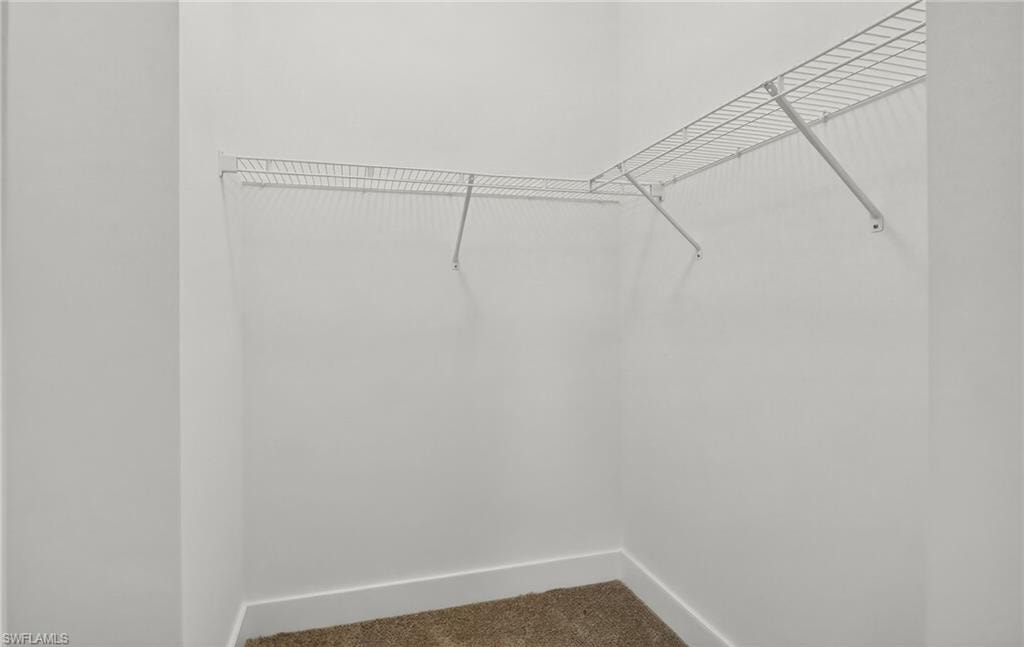 Spacious closet featuring carpet