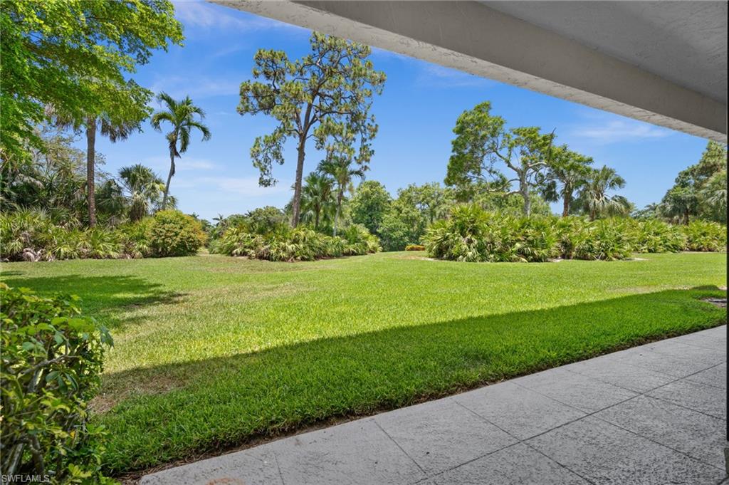 Serene grassy backyard!
