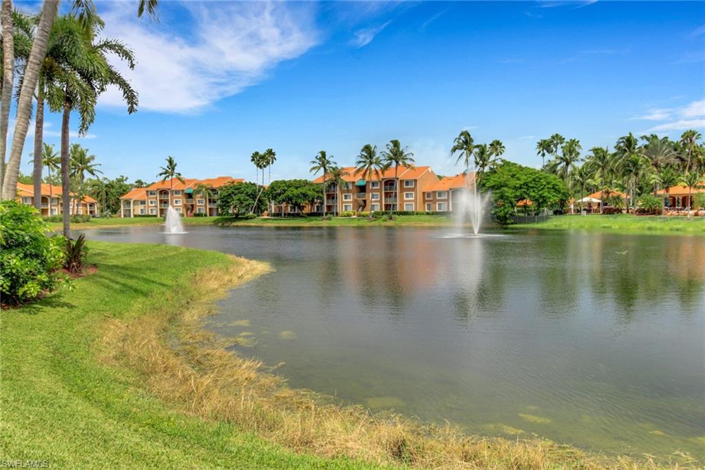Water view