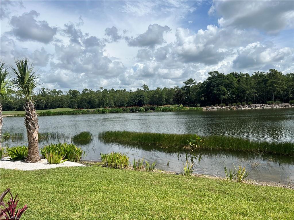 8555 Naples Heritage DR 214 photo 31