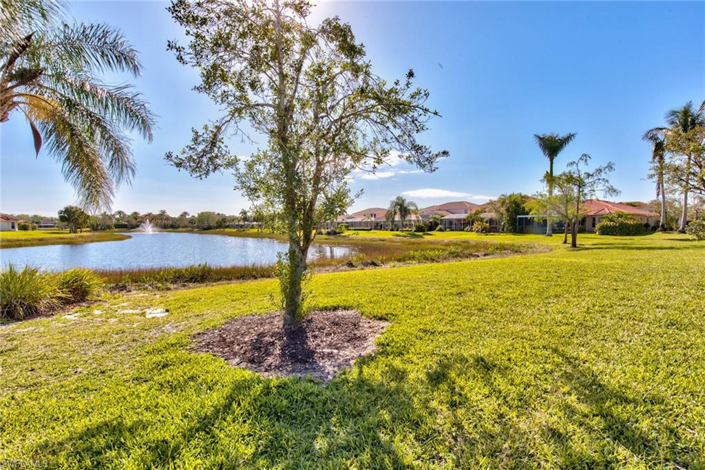 9051 Astonia WAY photo 37