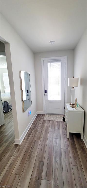 Doorway to outside with light wood-type flooring