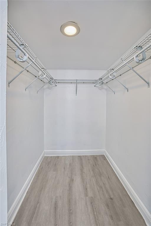Spacious closet featuring light wood-style floors