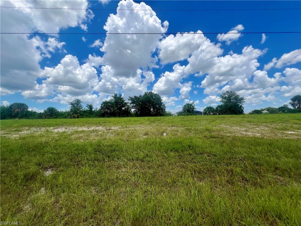 View of local wilderness featuring a rural view