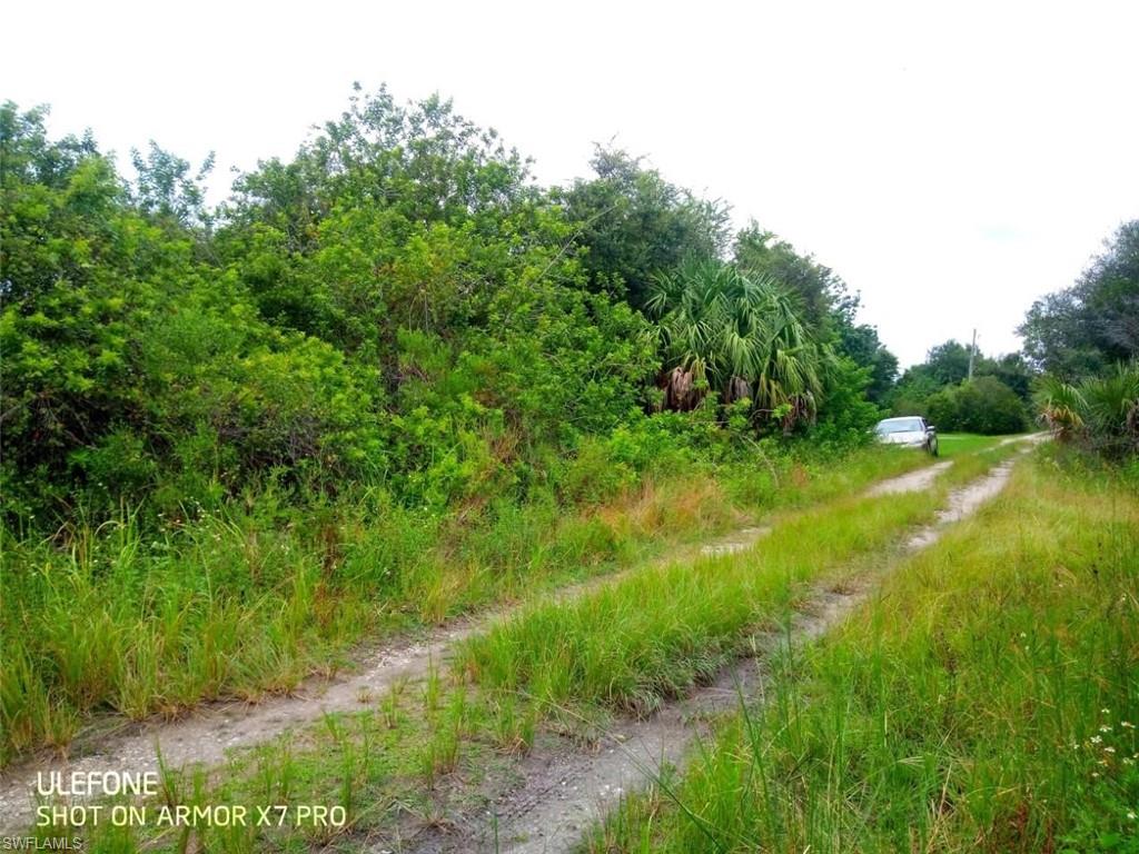 27433/27437 Neaptide DR photo 6