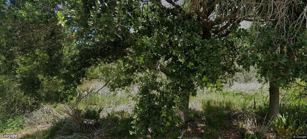 View of undeveloped land