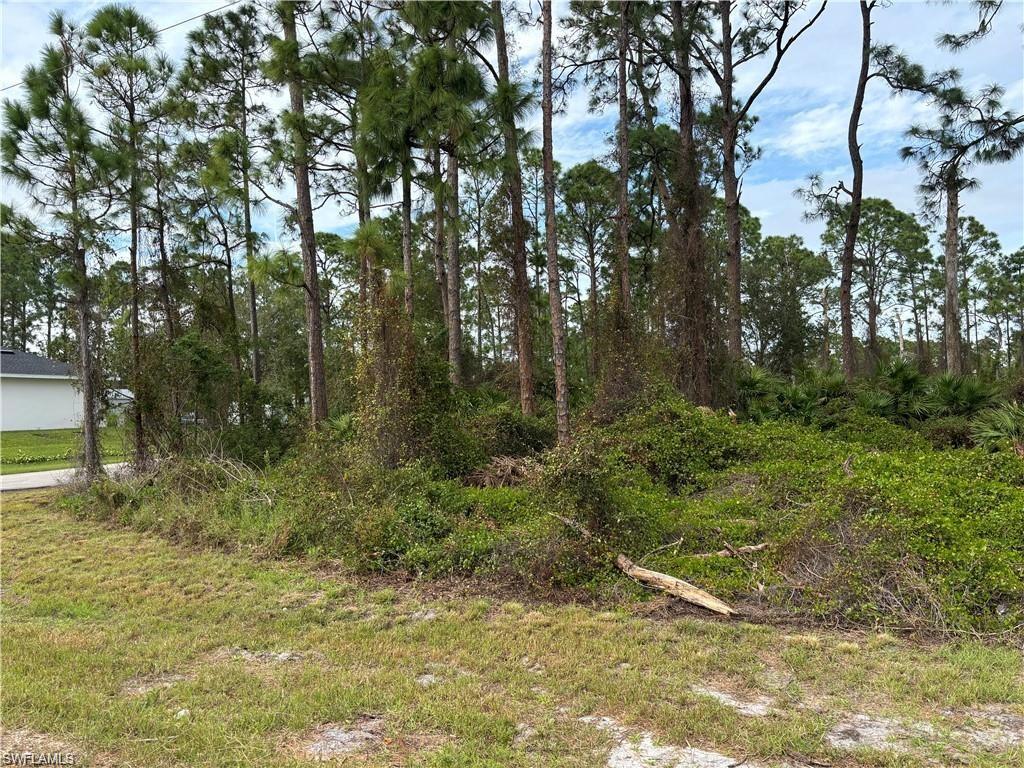 View of undeveloped land