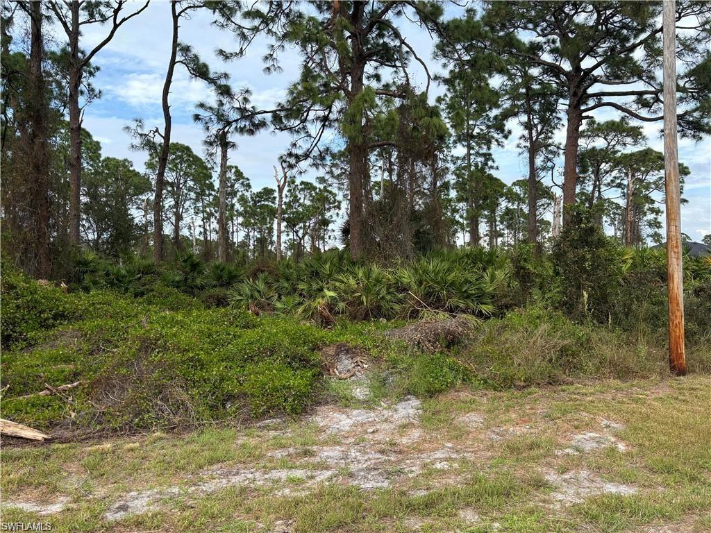 View of undeveloped land