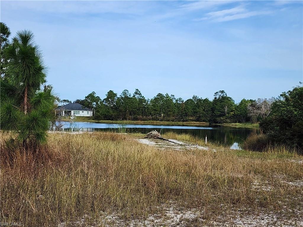 Water view with a heavily wooded area