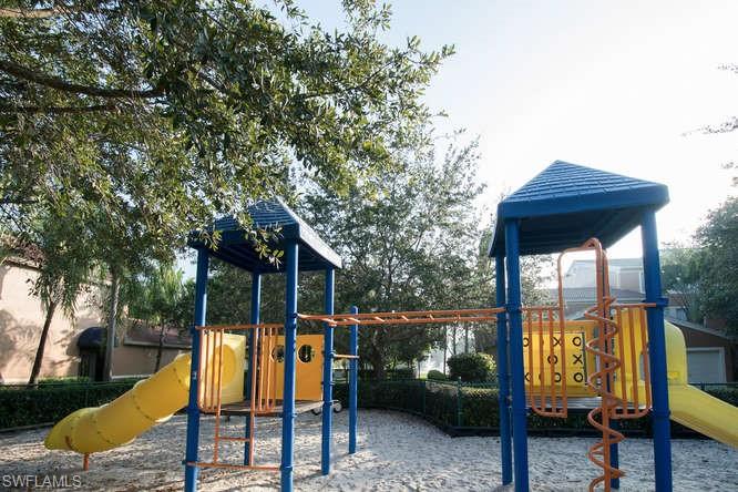 View of jungle gym