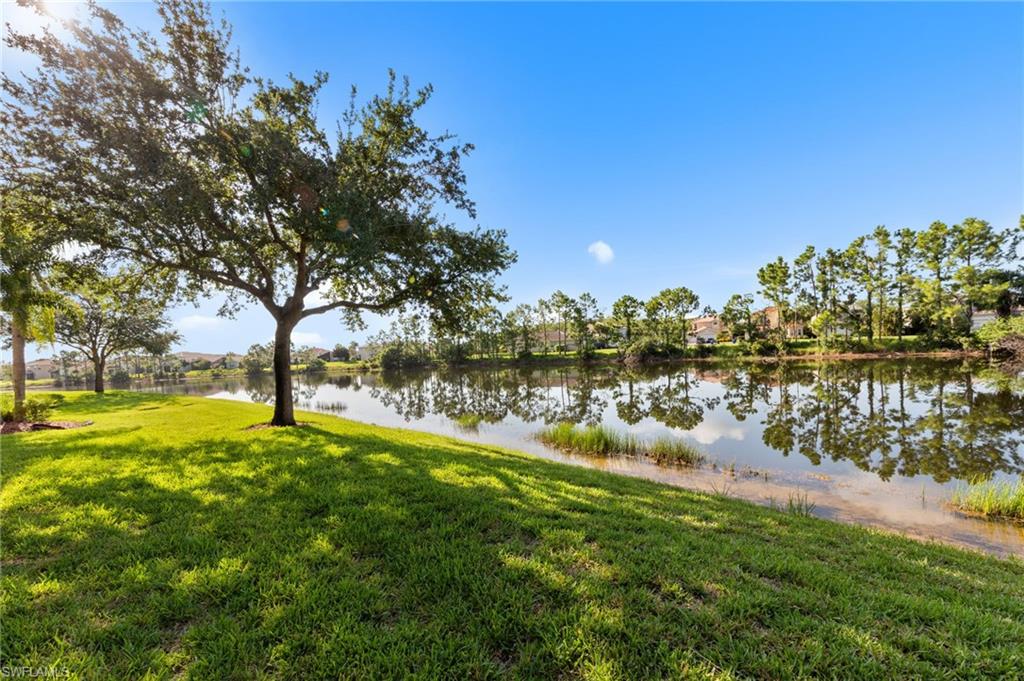 10135 Colonial Country Club BLVD 1208 photo 22