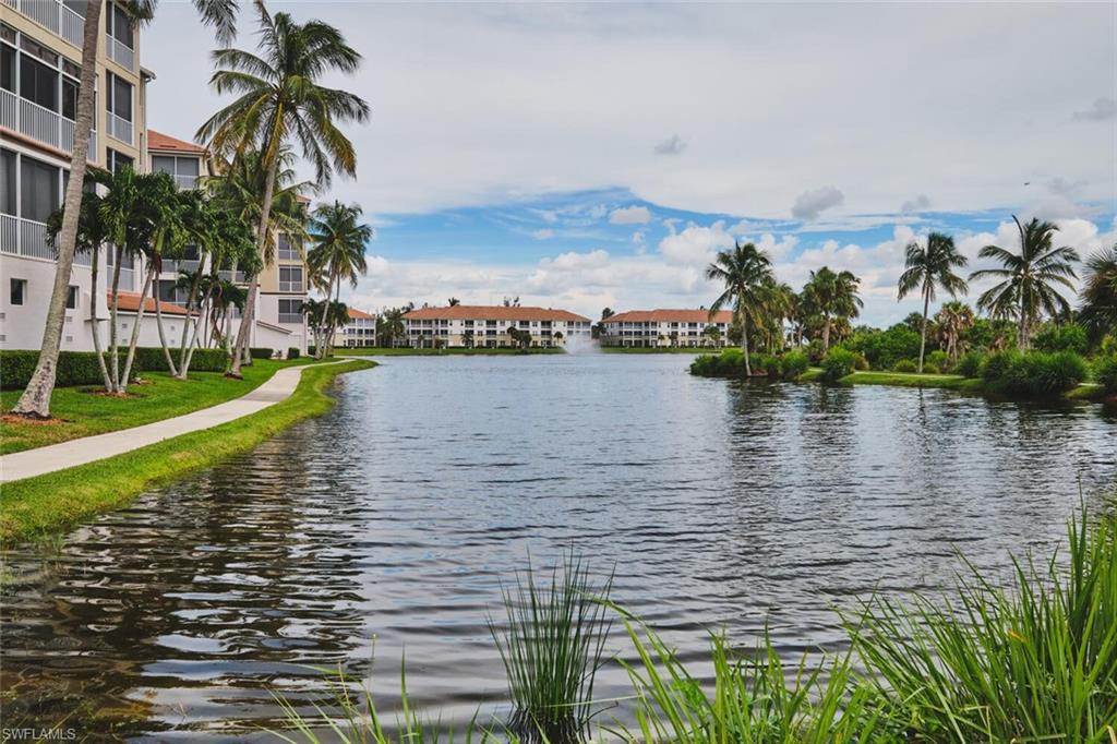 Water view