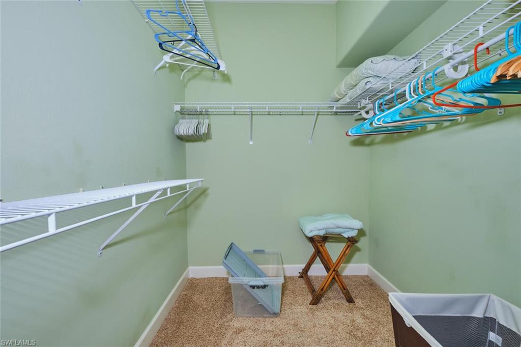 Spacious closet featuring carpet flooring