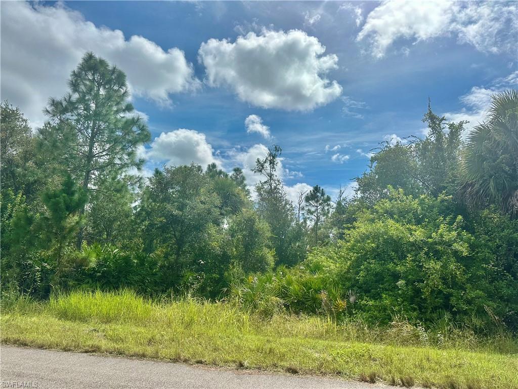View of undeveloped land