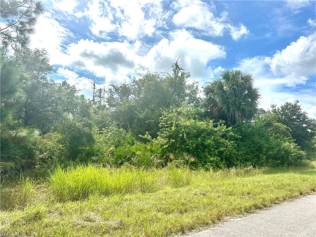 View of undeveloped land