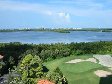 4951 Bonita Bay BLVD 901 photo 14