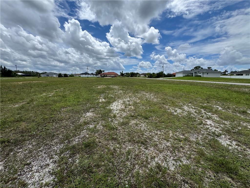 View of grassy yard