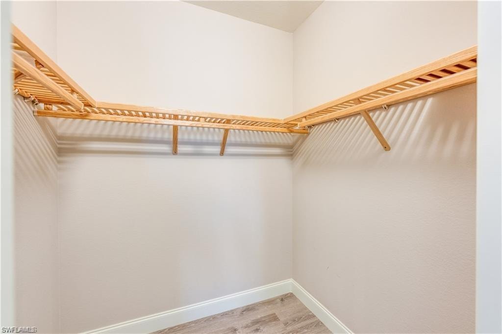 Spacious closet with light wood finished floors
