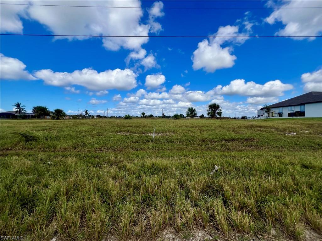 View of local wilderness featuring a rural view