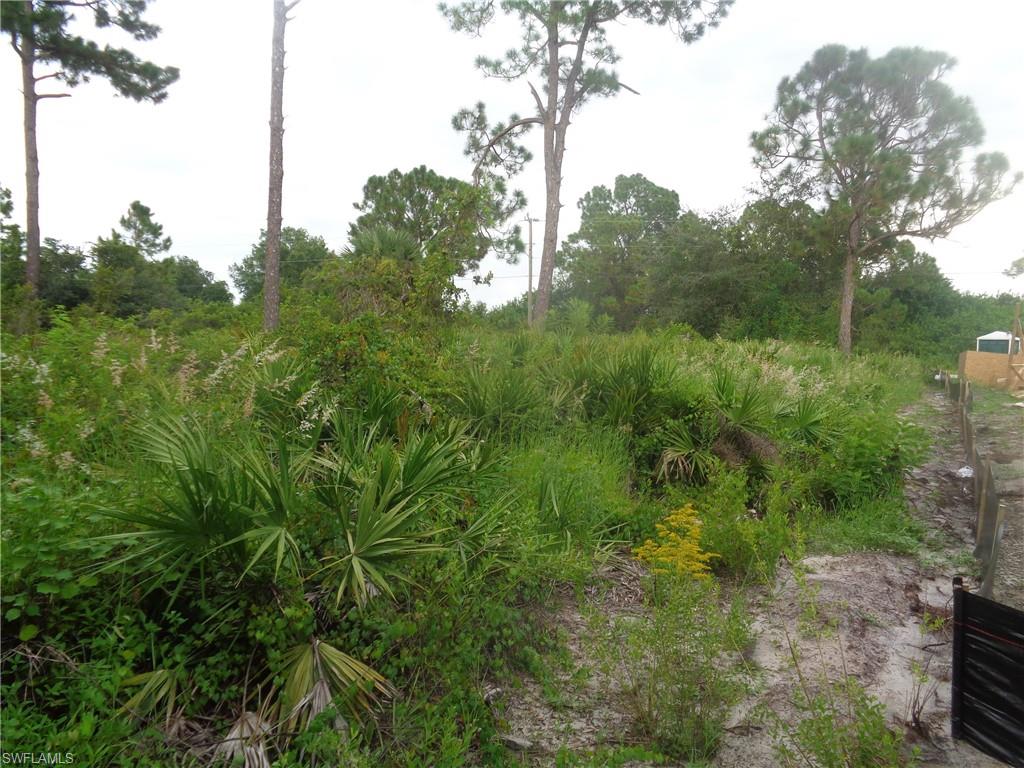 View of undeveloped land