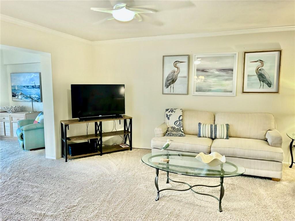 Living area featuring carpet flooring, ornamental molding, and a ceiling fan