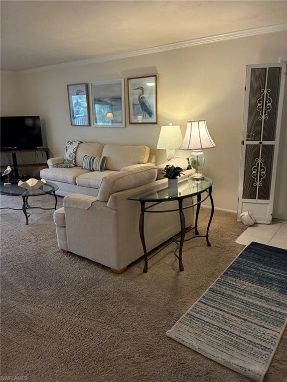 Living area with crown molding and carpet floors