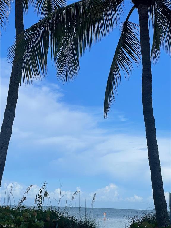 Water view