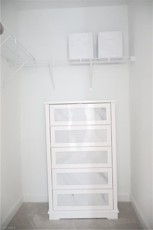 Spacious closet with carpet floors