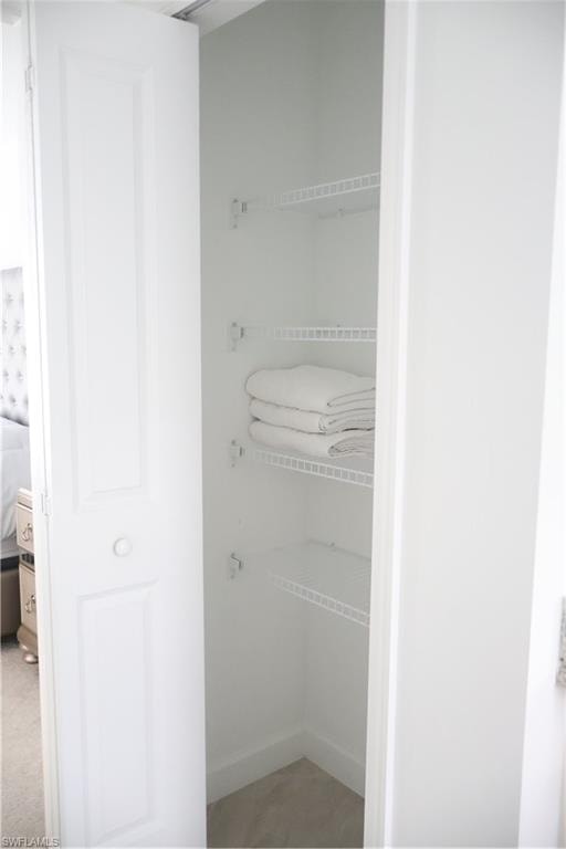 Linen/Towel closet in Master Bathroom
