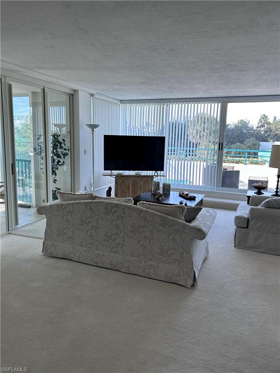 Carpeted living room with a wall of windows