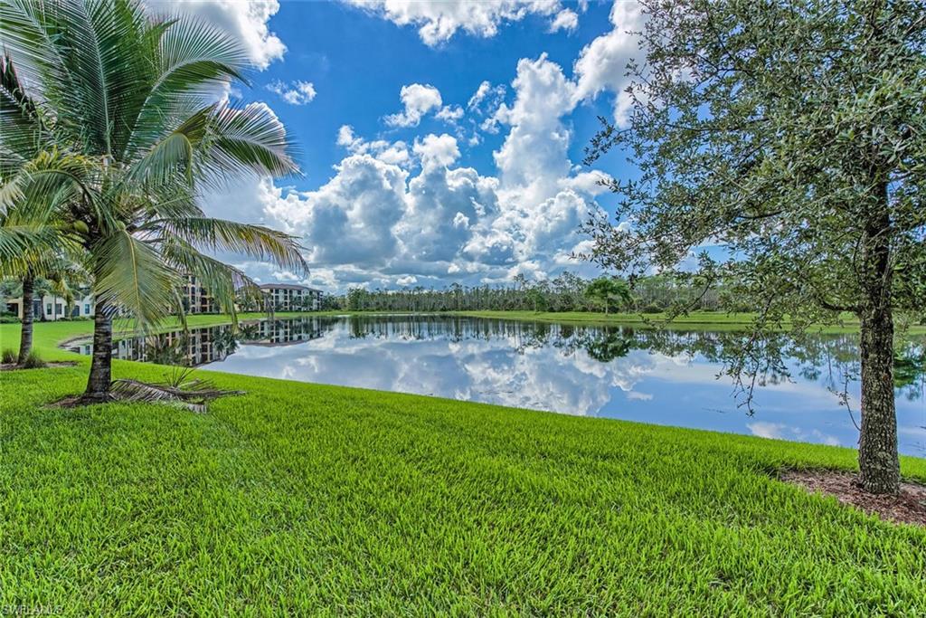 9731 Acqua CT 541 photo 23