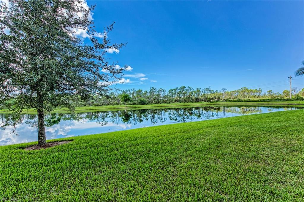 9731 Acqua CT 541 photo 24