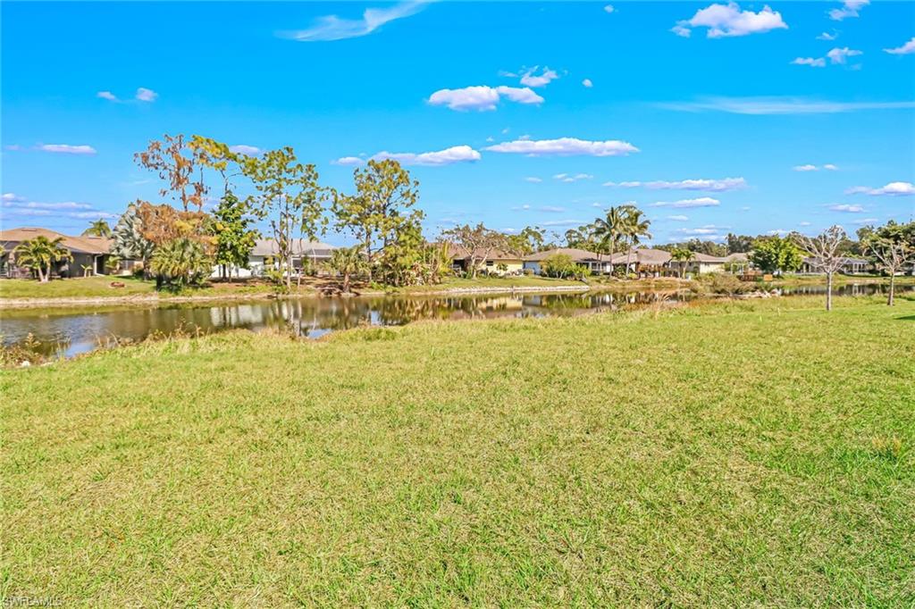 10621 Landau LN photo 21