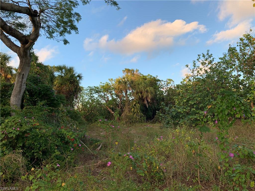 View of nature