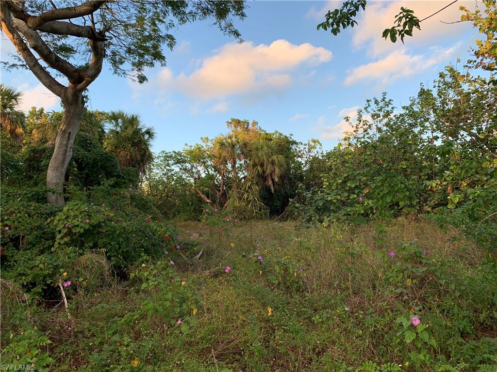 View of nature at dusk