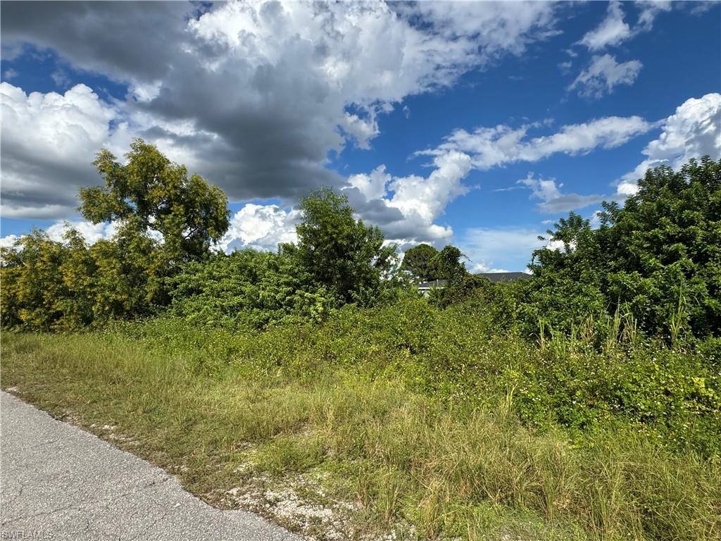 View of undeveloped land