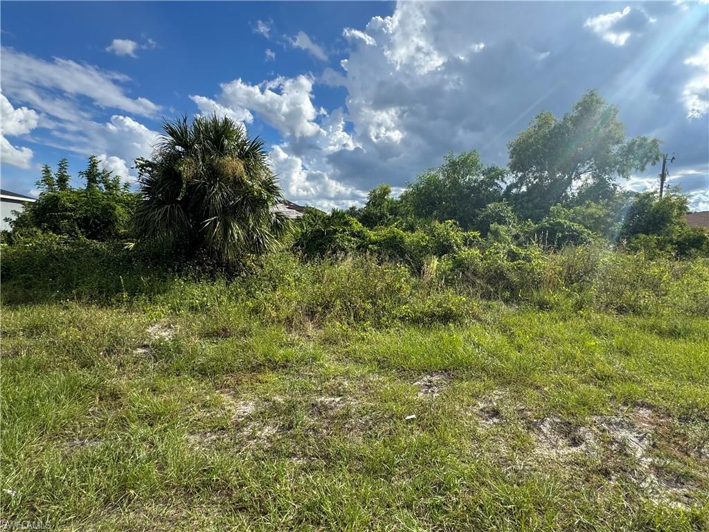 View of undeveloped land