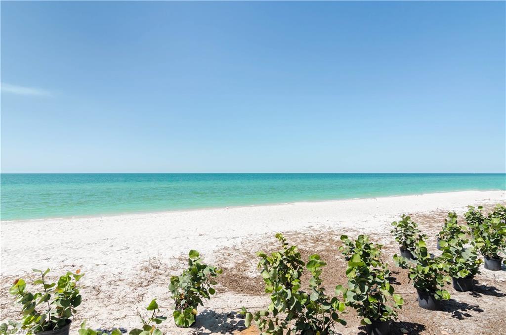 3377 Gulf Shore BLVD N 1B photo 23