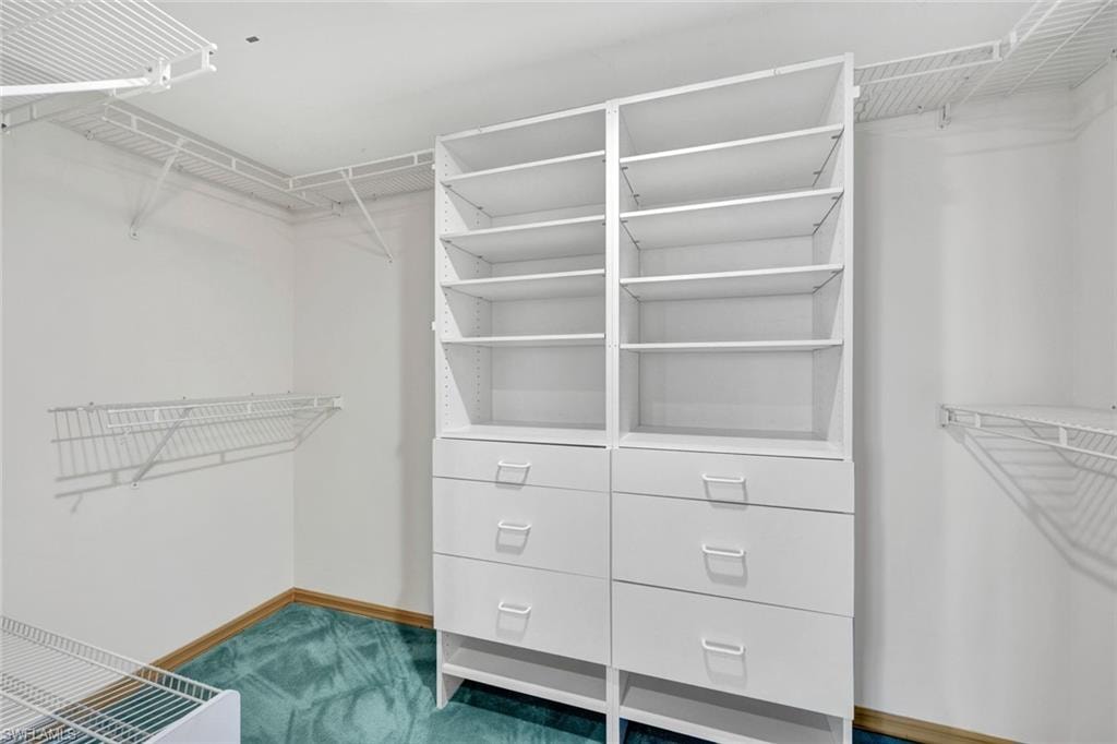 Spacious closet with dark colored carpet