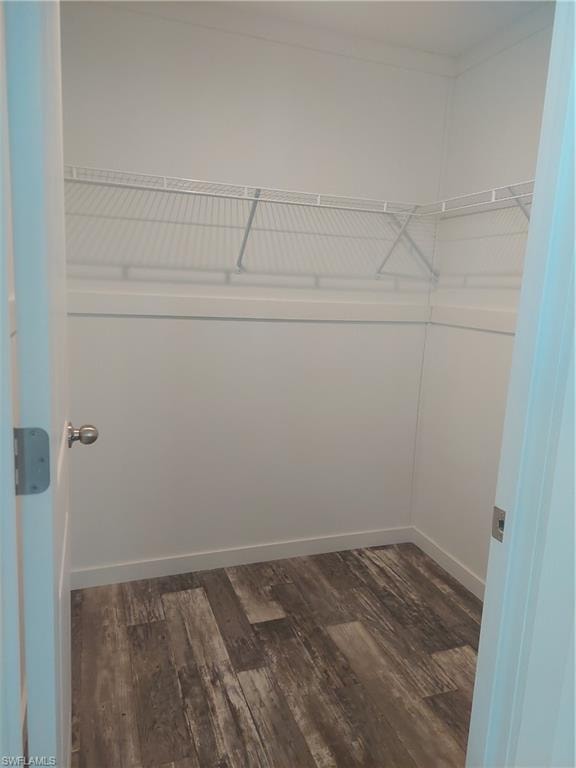 Large walk-in closet in guest bedroom