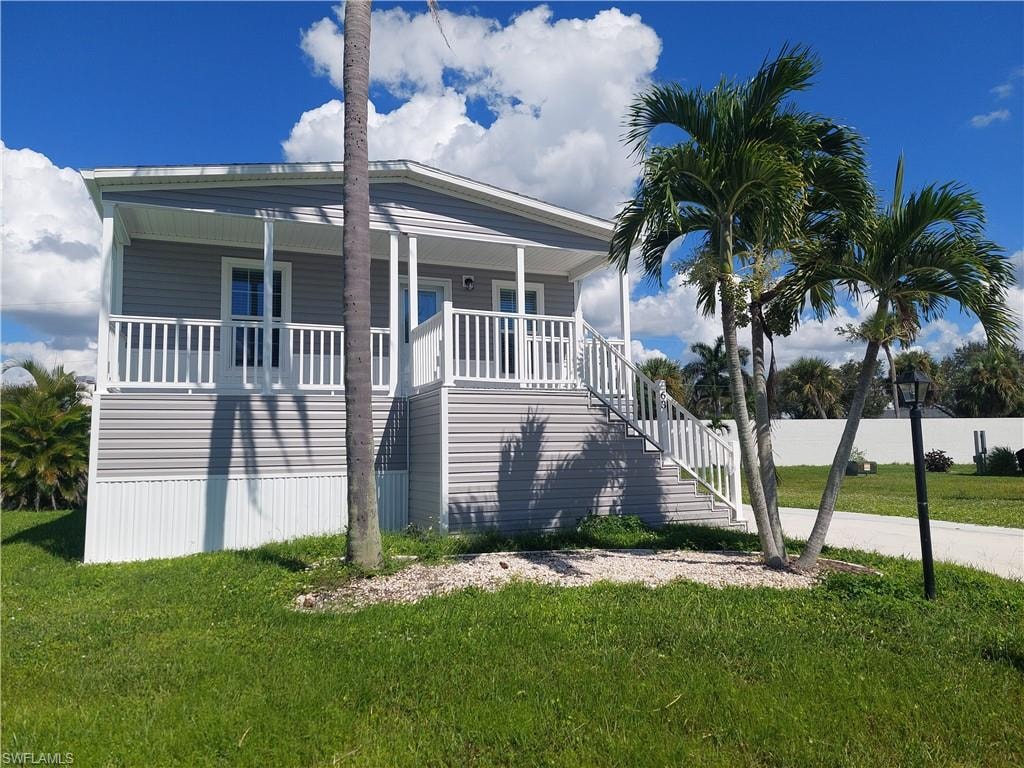 Mature Palms in landscaping