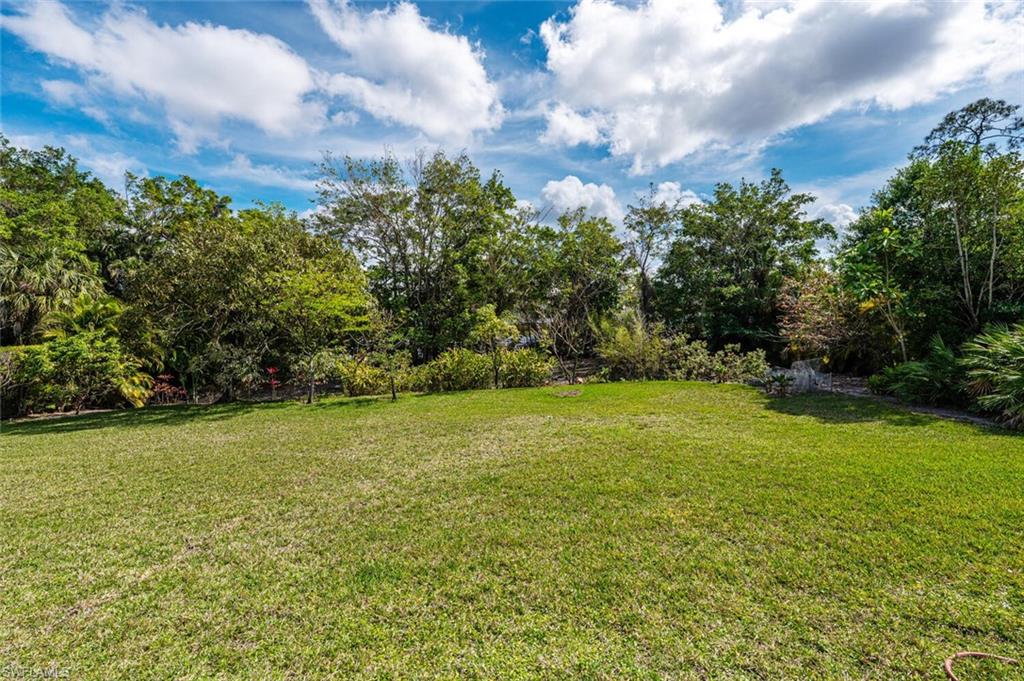 Rear of lot.