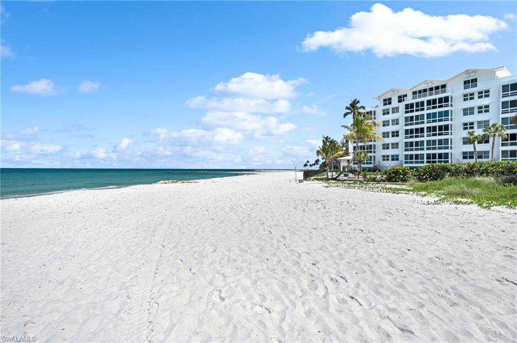 2121 Gulf Shore BLVD N 206 photo 20