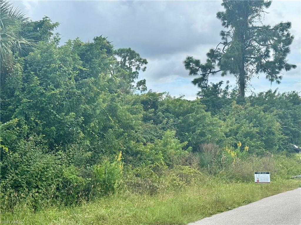 View of asphalt road