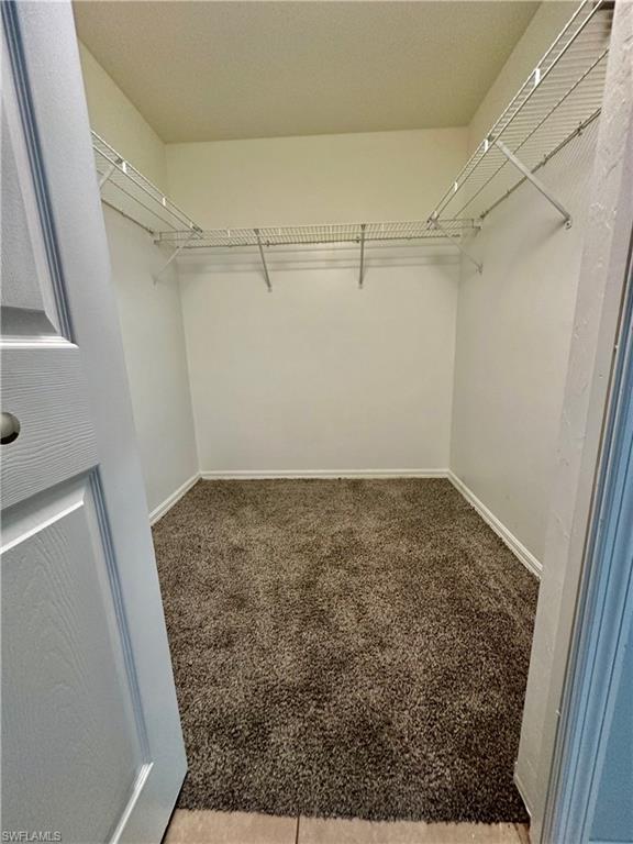 Spacious primary bedroom closet featuring carpet
