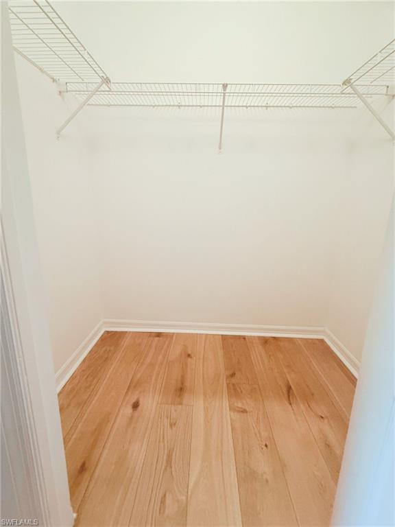 Spacious closet with light wood-style flooring